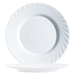 Arcopal Teller flach 24,5 cm Trianon